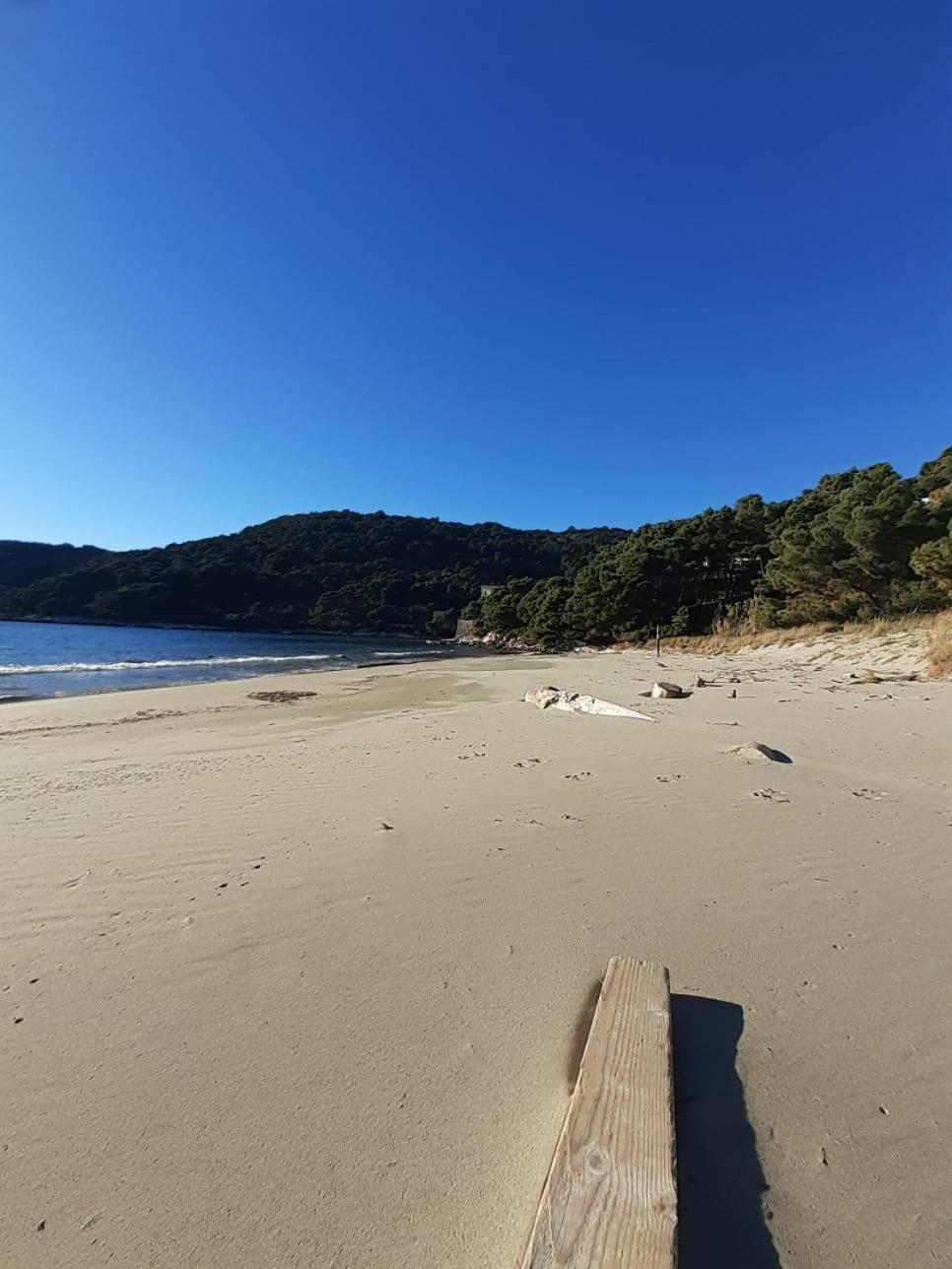 Apartment Nadine Mljet Mit Meerblick Okuklje Exteriör bild