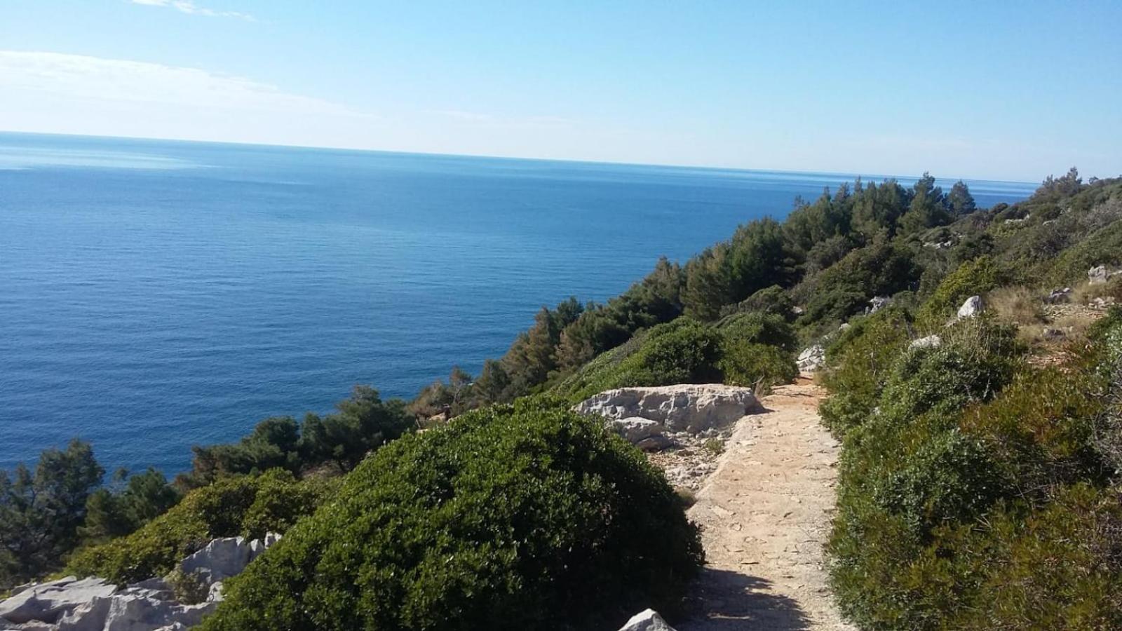 Apartment Nadine Mljet Mit Meerblick Okuklje Exteriör bild