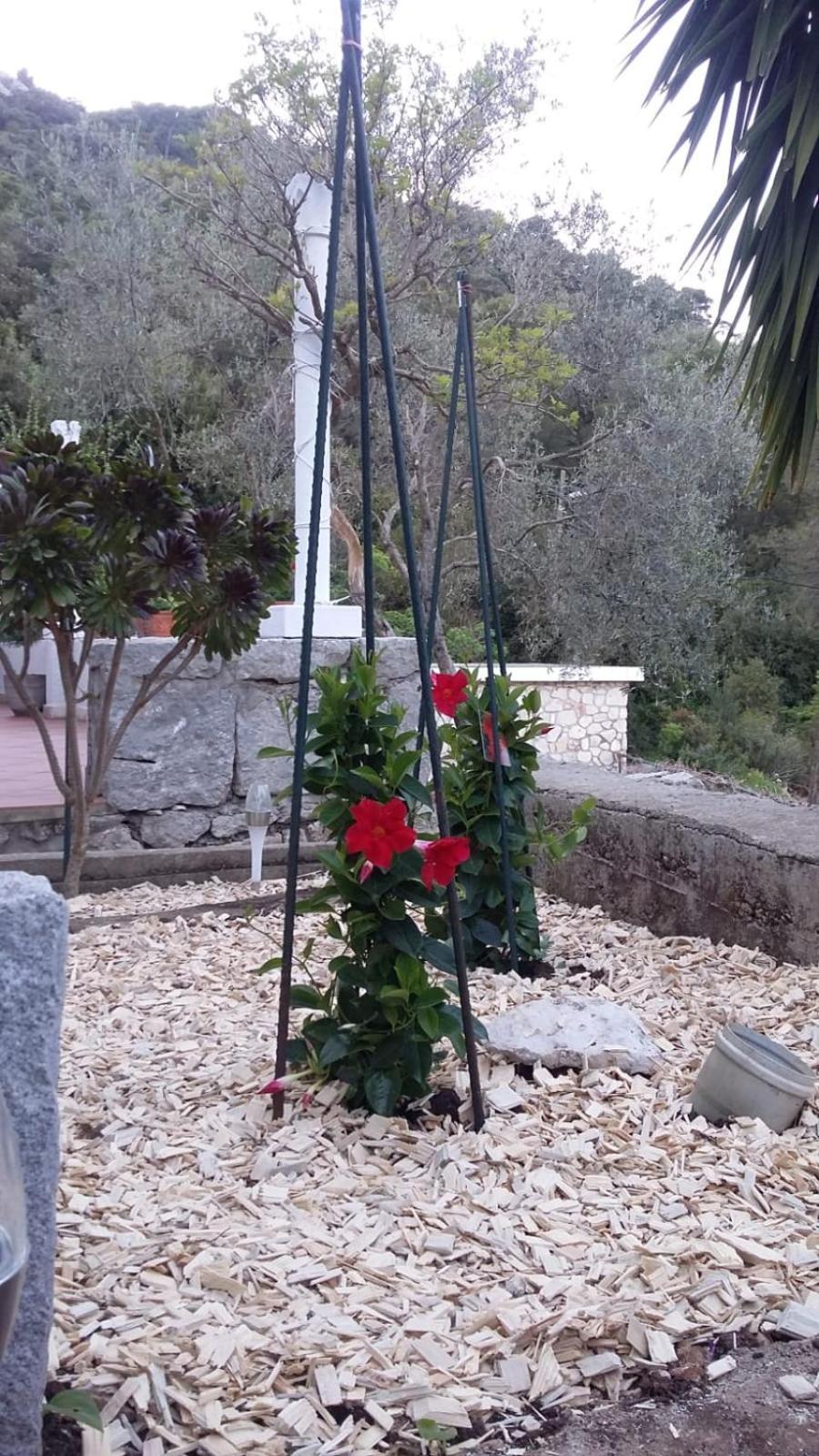 Apartment Nadine Mljet Mit Meerblick Okuklje Exteriör bild